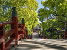 太鼓橋から五の鳥居