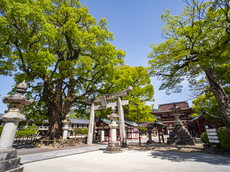 五の鳥居と境内遠景
