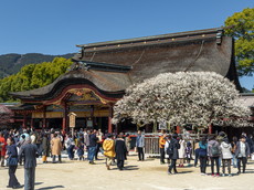 国指定文化財：本殿と飛梅