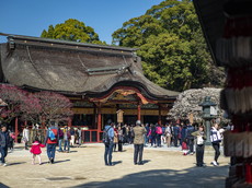 国指定文化財：本殿