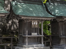 御子社［三男の兼茂命］