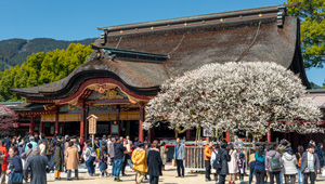 太宰府天満宮（太宰府市）