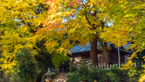 雷神社（糸島市）
