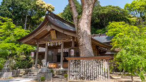 竈門神社［下宮］（太宰府市）