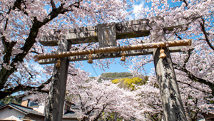 香春神社（香春町）
