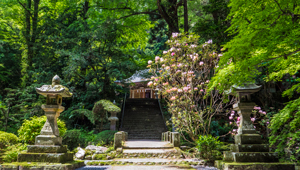 美奈宜神社（朝倉市荷原）
