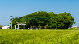 志登神社（糸島市）
