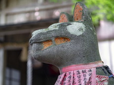 式部稲荷社－狛狐