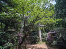 一之鳥居（登拝道）