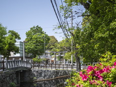 御池から大鳥居