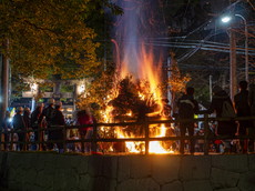 春日の婿押し：左義長