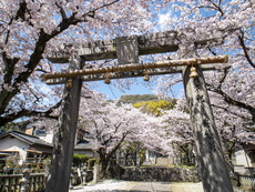一之鳥居と香春岳
