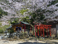 白八稲荷大明神と不動明王像等