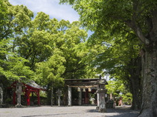 注連鳥居と神門