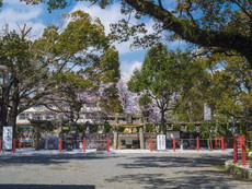 筑前国十九式内社