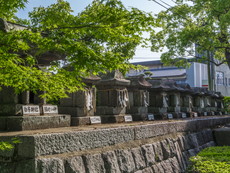 筑前国十九式内社