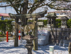 白峯神社