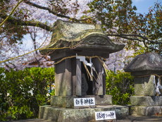白峯神社