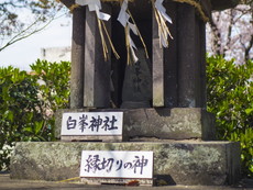 白峯神社