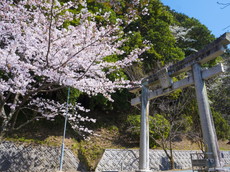奥之宮八社の鳥居