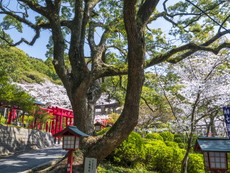 奥之宮八社の参道