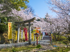 不動神社への参道