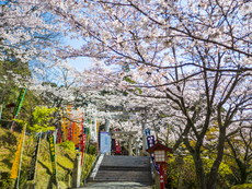 不動神社への参道