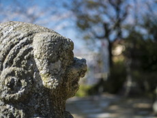 狛犬と引津湾（刀伊の襲来地）