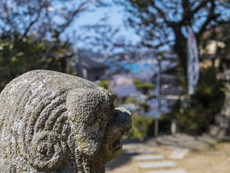 狛犬と引津湾（刀伊の襲来地）