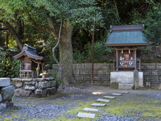 社殿向かって左手（東側）の摂末社