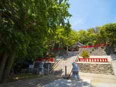 参道階段中段より社殿