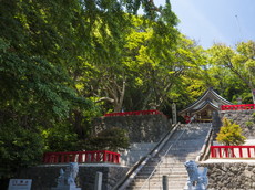 参道階段中段より社殿