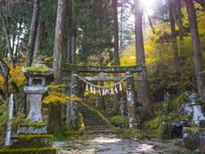 二之鳥居（石鳥居）