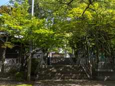 参道：二の鳥居から注連鳥居