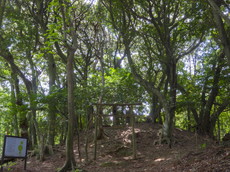 上宮（長嶽山古墳群）