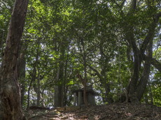 上宮（長嶽山古墳群）