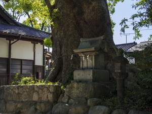 山神社