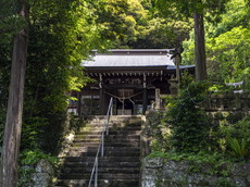 参道階段から社殿