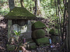 元稲荷と五重塔残欠