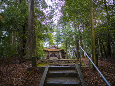 参道階段より社殿前