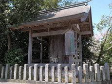 一之神陵の大杉