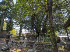 八井耳玉命御陵