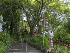 霊符神社
