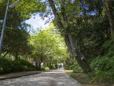 一の鳥居から二の鳥居への参道