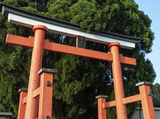 本参道：一之鳥居