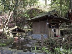 神龍泉と称される忍穂井
