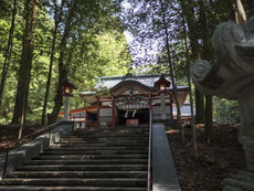 階段から社殿