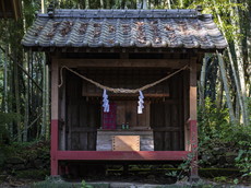 五瀬命・稲飯命