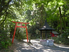 参道から故有谷