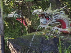 龍王神水の湧く龍神社